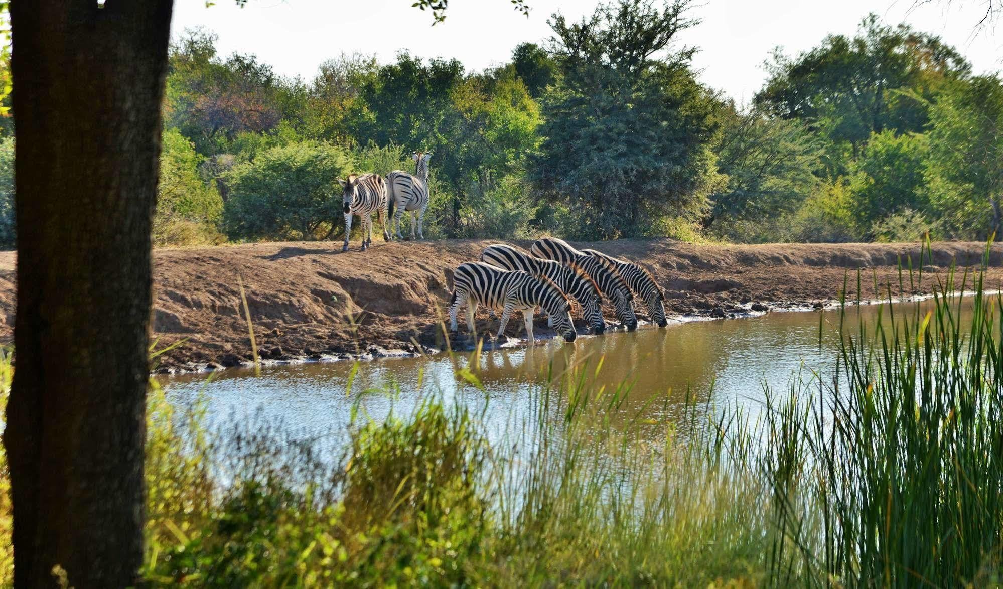 Black Rhino Game Lodge Ruighoek Mine