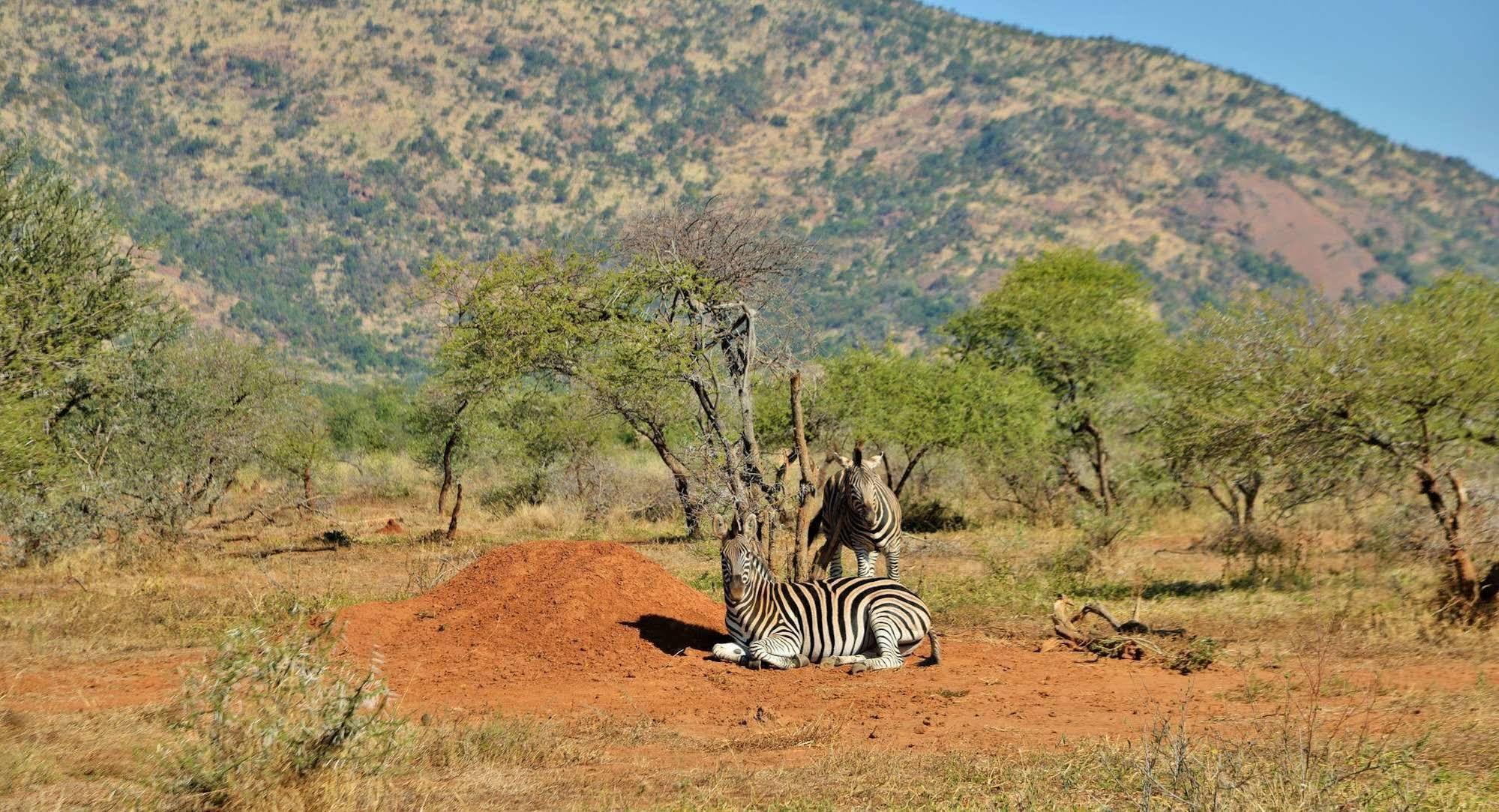 Black Rhino Game Lodge Ruighoek Mine